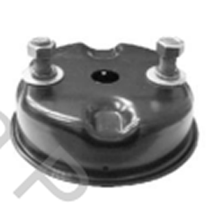 CUERPO SERVICIO SPRING BRAKE 30" 121MM (R3282)