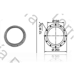 BRIDA PARA FUELLE 2C 210 (BRC193) (6006)